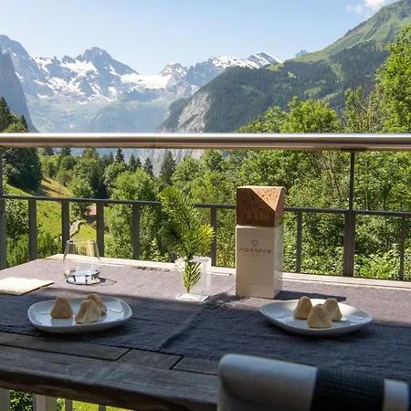 Mittaghorn 5 公寓 *